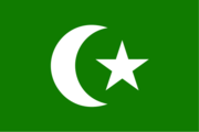Flag of the Arab nation