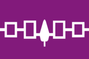 Flag of the Iroquois nation