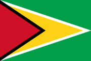 Flag of the Guyanese nation